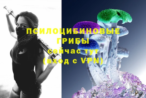 не бодяженный Белокуриха